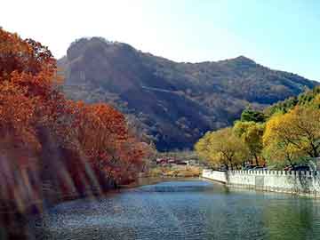 管家打一正确生肖最佳答案，黑龙江旅游职业学院